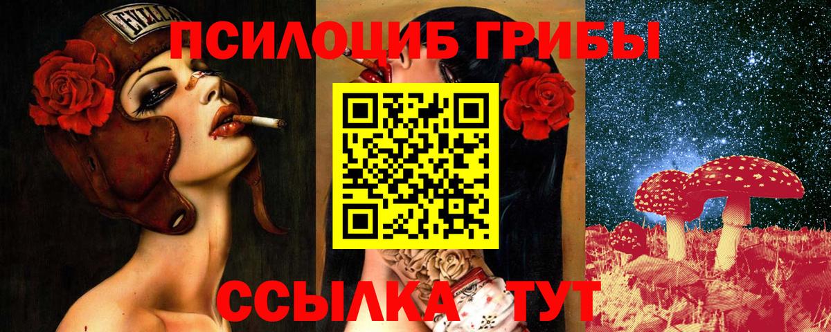 Галлюциногенные грибы Cubensis  Вход с VPN  Казань 